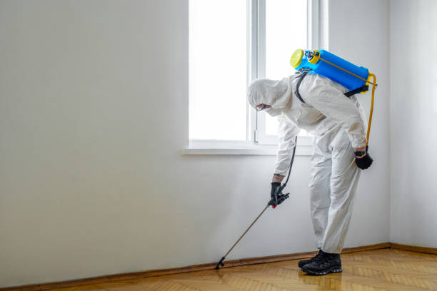 Best Pest Exclusion Services  in Canadian, TX